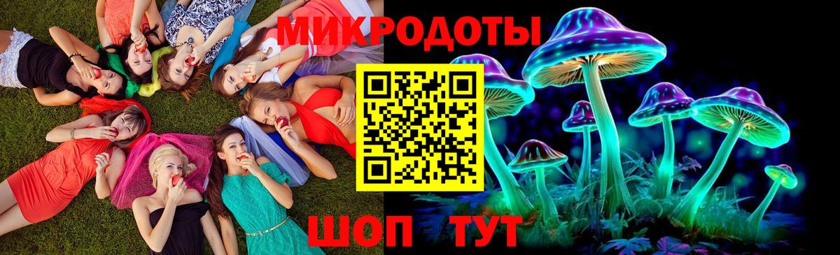 купить наркотики сайты  Галлюциногенные грибы Psilocybine cubensis  Вход с VPN  Горно-Алтайск 